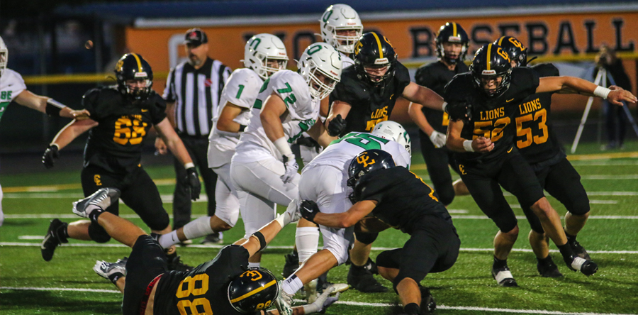 Mistakes cost the Lions in Homecoming game