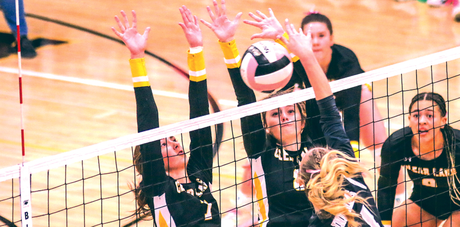 Lions end regular season with a 3-0 win over IF-A