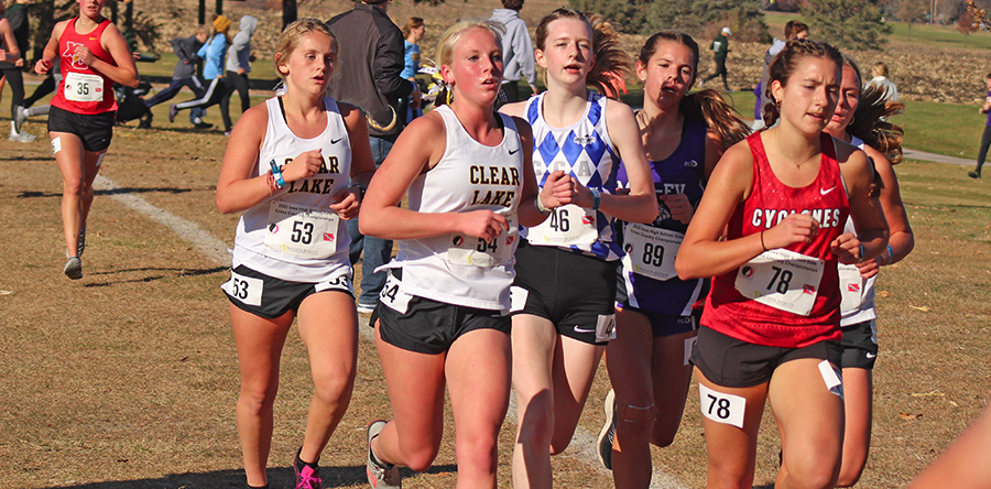 Girls finish seventh at State Cross Country; Crane puts forth strong performance