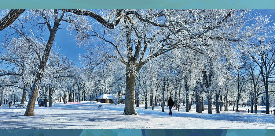 Walking in  a winter wonderland