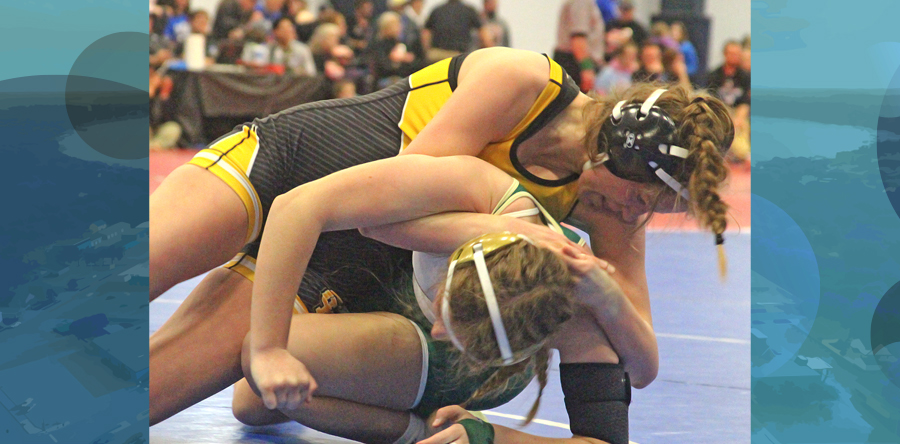 Fausnaugh makes school history with State qualification