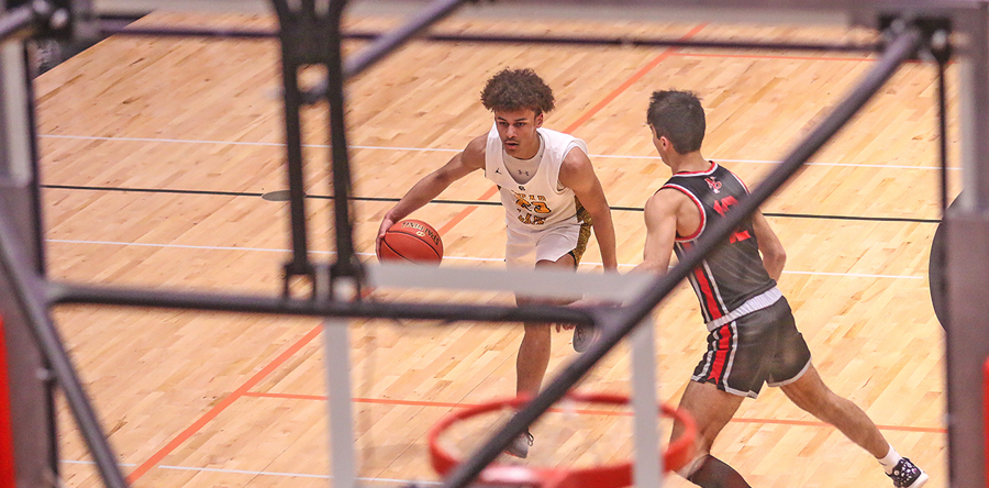 North Polk surges past Lions