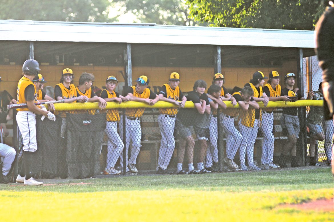 Clear Lake baseball team splits away games
