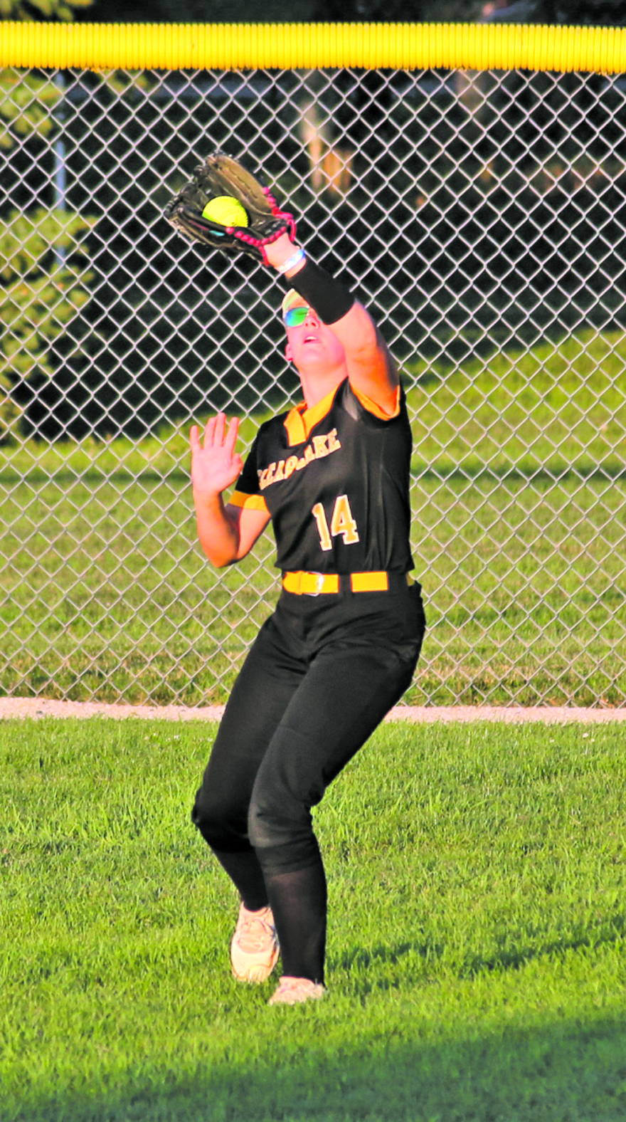 Lions pound Forest City in quarterfinals