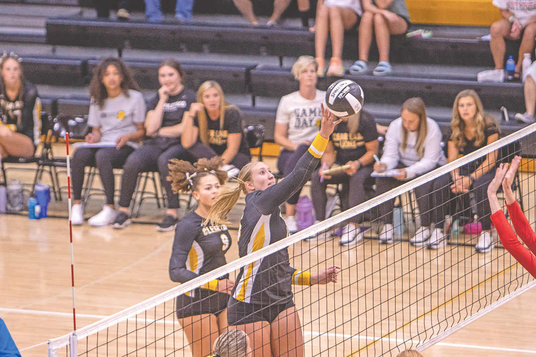 Lions sweep Algona,  improve to 5-1