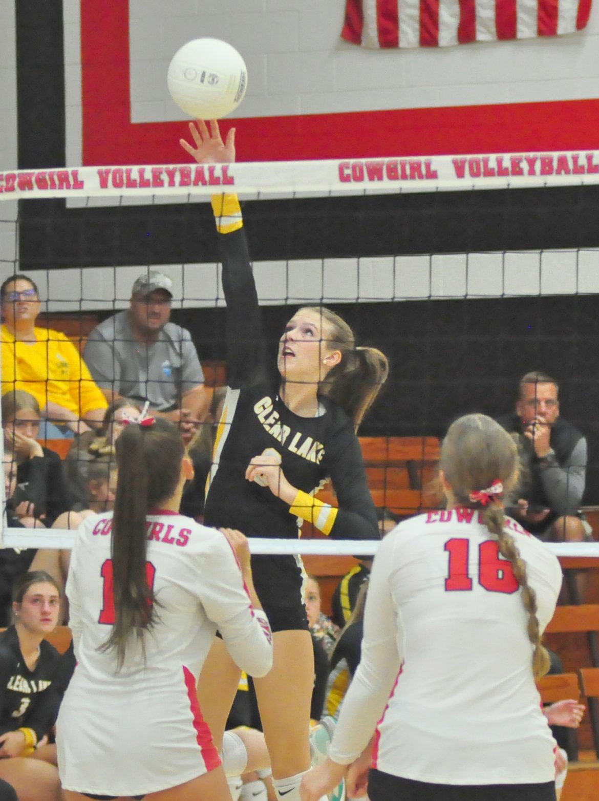 Lions fall to Cowgirls in four sets