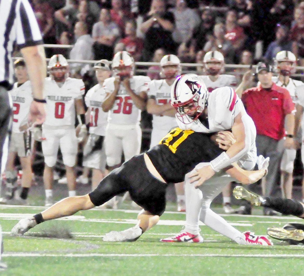 Gutsy call gives Lions victory