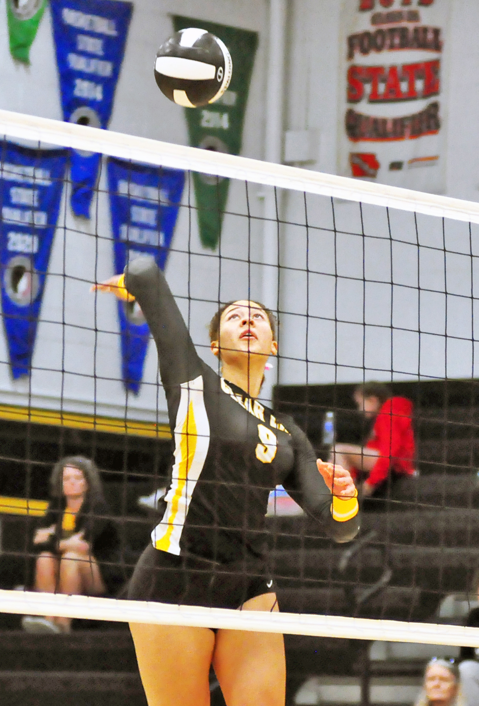 Lions show spark in loss to Indians