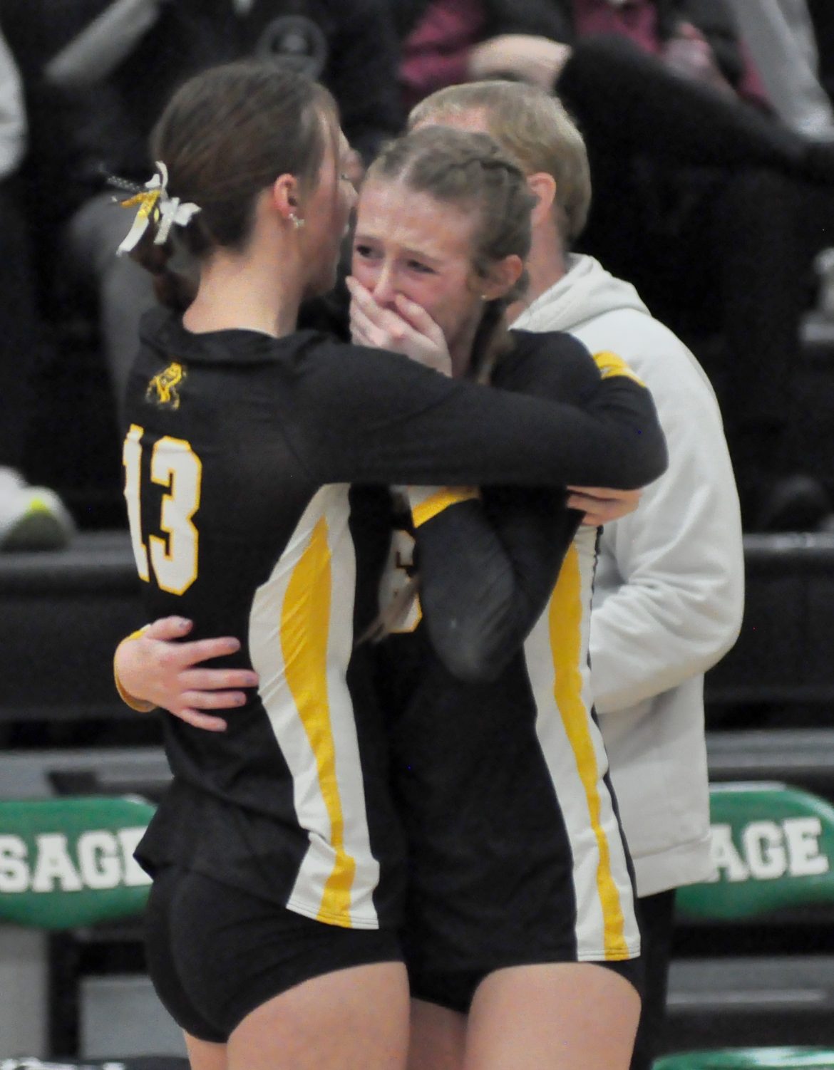 Lion volleyball comes up short in Osage
