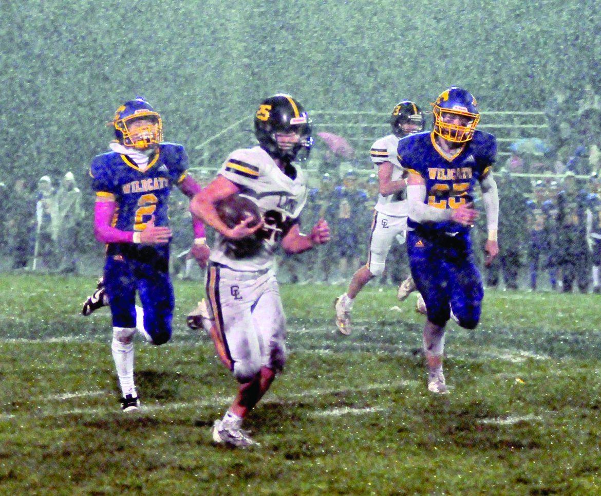 Lions lose roar in rain-soaked defeat