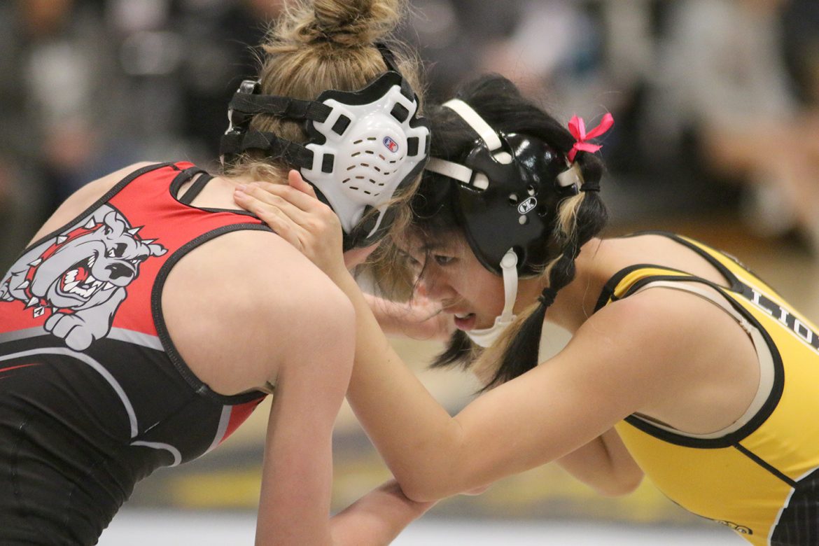 Clear Lake Lion girls have success at home