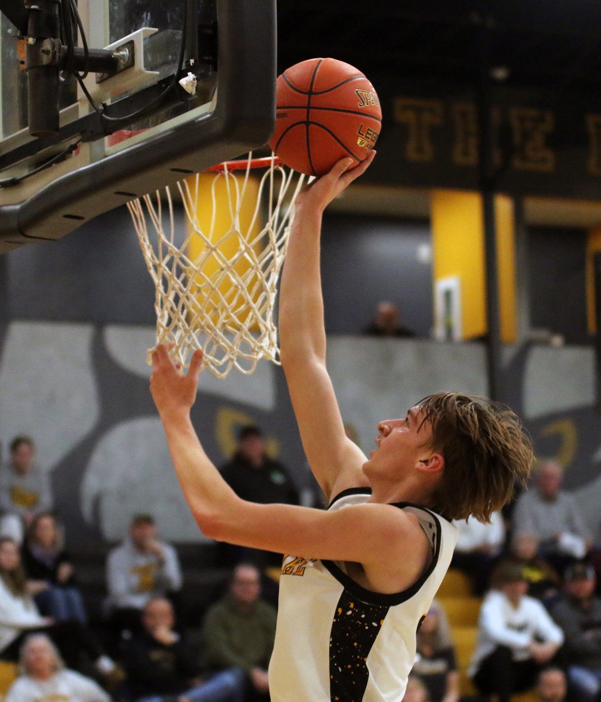 Lion boys rally to  beat Iowa Falls-Alden