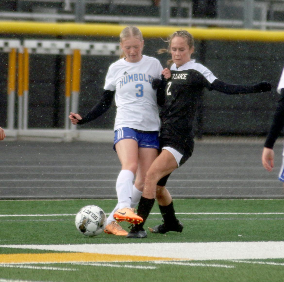 Lion girls soccer defeats H-D-CAL