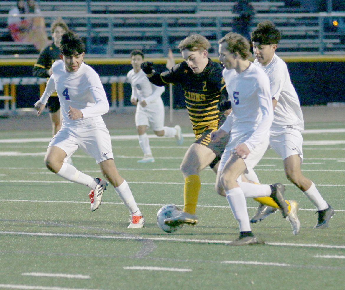 Lions headed to sub-state game against Webster City