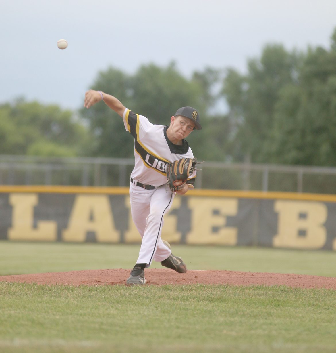Lion baseball splits busy week