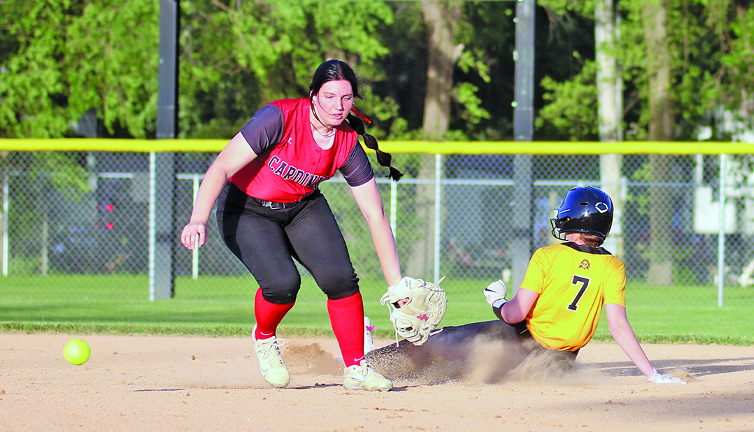 Lion softball off to best start in two decades