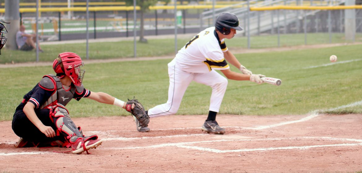 Lions finish regular season with win
