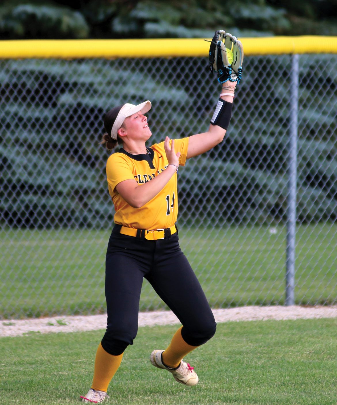 Lion softball finishes third in NCC