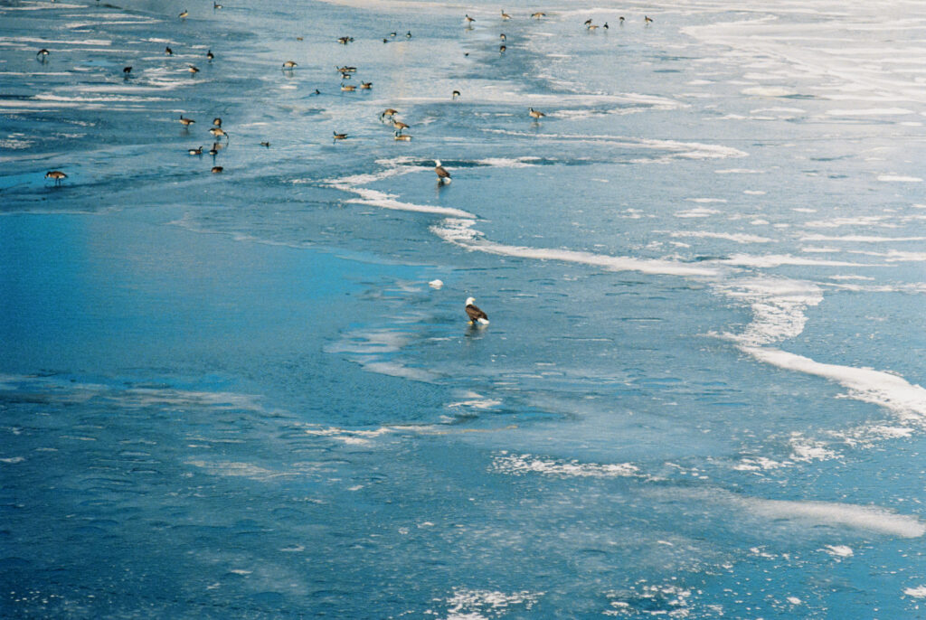 Senators Advance Resolution To Repeal Constitutional Outdoor Recreation Fund