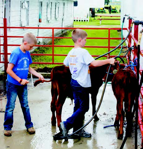 2020 Wright County Fair will not open to the public due to COVID-19