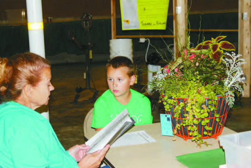 Wright County makes the most out of COVID-19 Fair opportunities for local 4-H and FFA youth