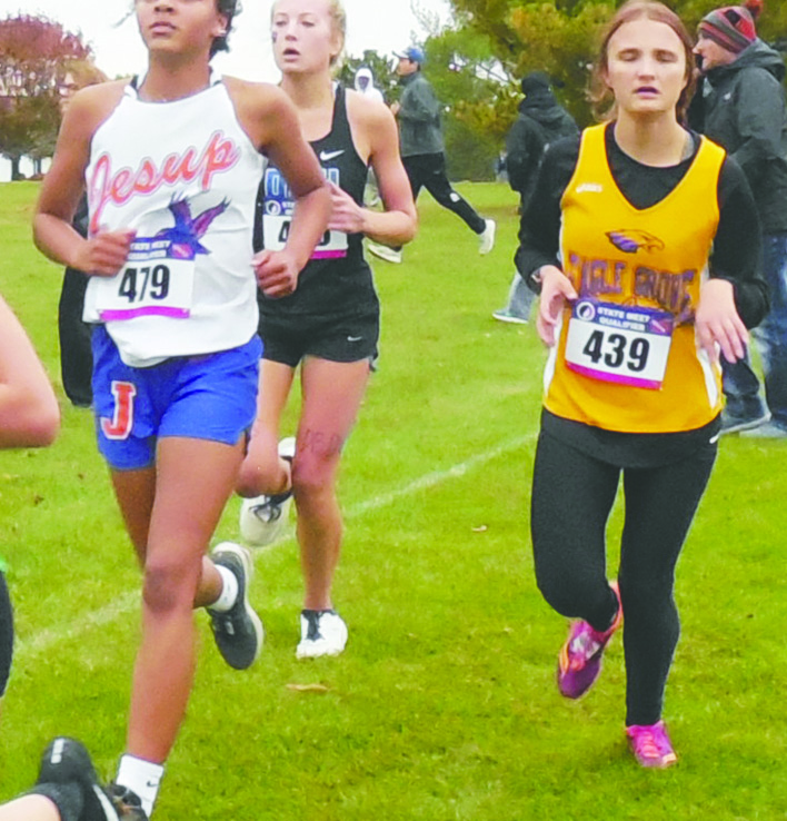 Lady Eagle runners gain experience at 2A State Qualifier meet