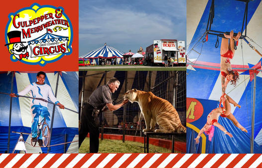 The Circus is coming to town! Fun for old and young!