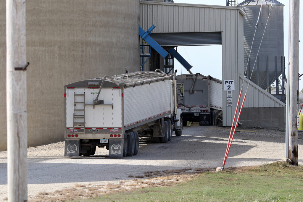 Fine line separates some robust corn yields from poor ones