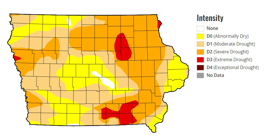 Extreme drought develops in northeast Iowa