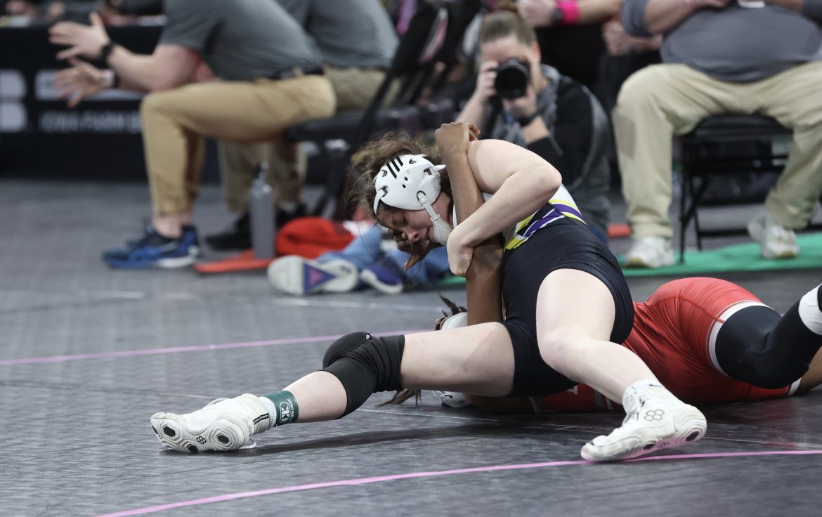 Anderson impresses at state tourney