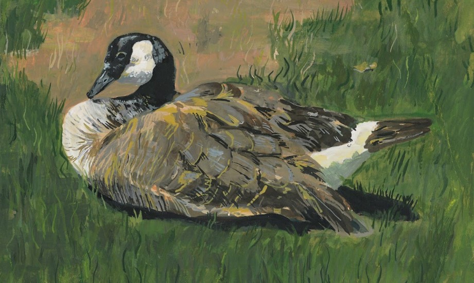 2024 Iowa Junior Duck Stamp Art Contest Winners Announcement