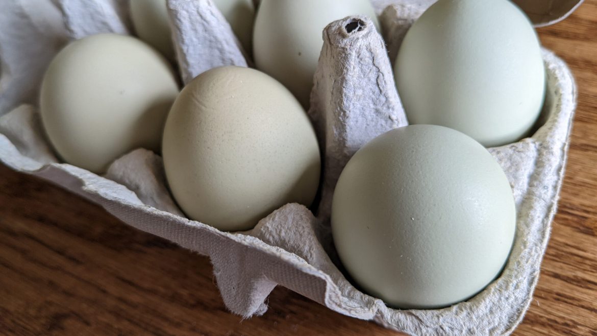 Meat Labeling Bill Amended To Restrict Snap Purchases Of Egg Substitutes