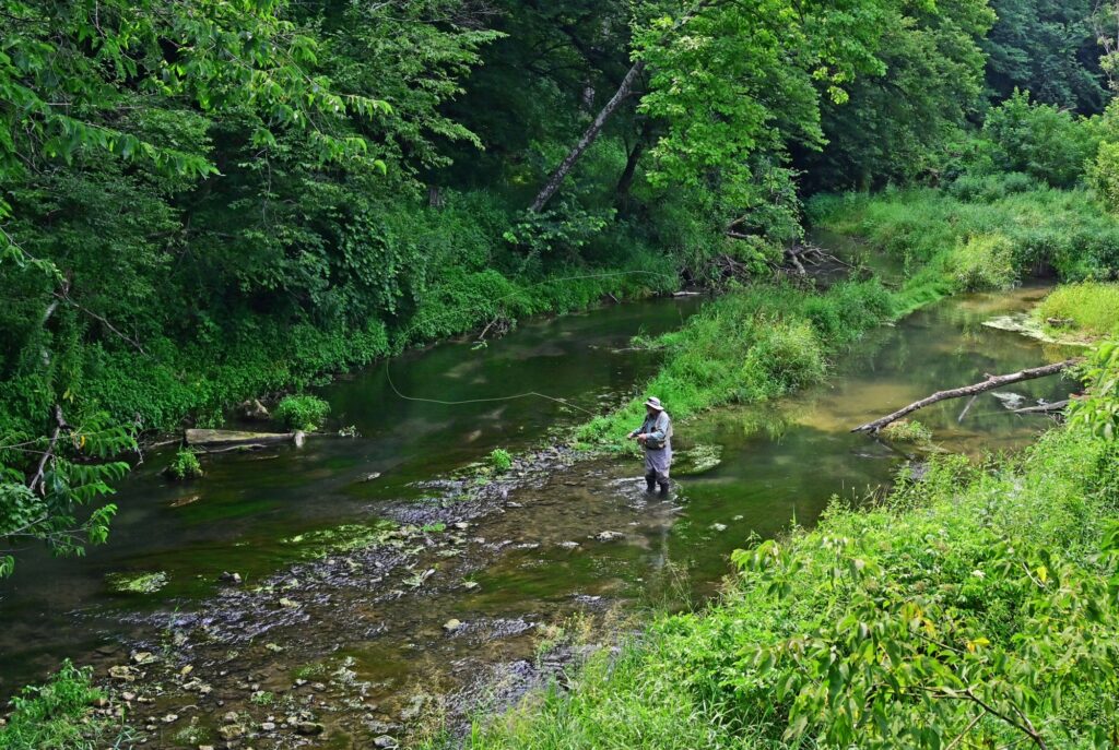 Water advocates challenge DNR final decision on permit for cattle facility near Bloody Run Creek