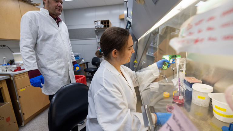 Federal Cap on Health Grants Could Cost University of Iowa $33M
