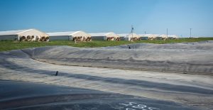 Containment farms can be seen in the background behind a covered waste lagoon. (Photo courtesy of ISU)