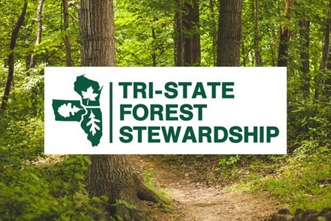 Registration Is Open for 2025 Tri-State Forest Stewardship Conference