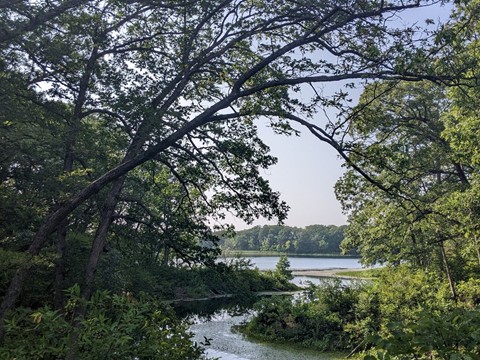 Iowa Learning Farms to Host Forestry on Tap in Indianola