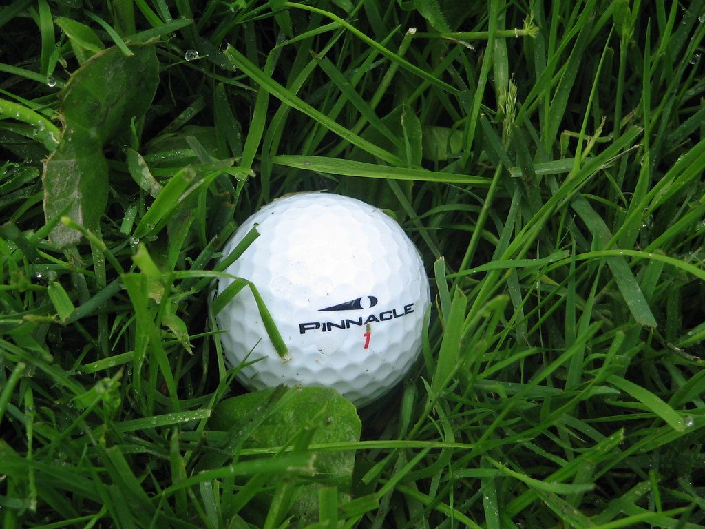 Golfers Impress At Bear Creek