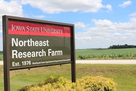 Iowa Secretary of Agriculture Mike Naig to Speak at ISU Northeast Research and Demonstration Farm Field Day on June 18