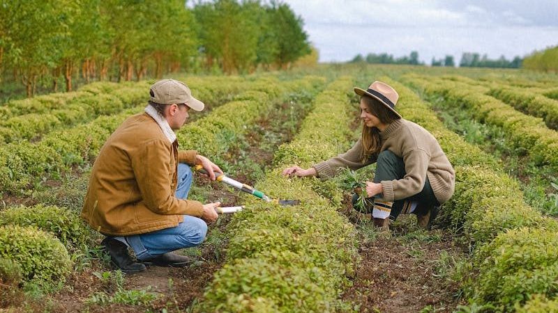 2025 Iowa Women in Agriculture Conference July 31