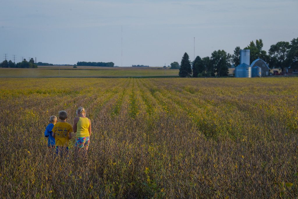 USDA Reminds Iowa Producers to File Crop Acreage Reports