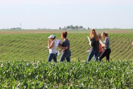 Evening Crop Walk Planned in Thor on June 17