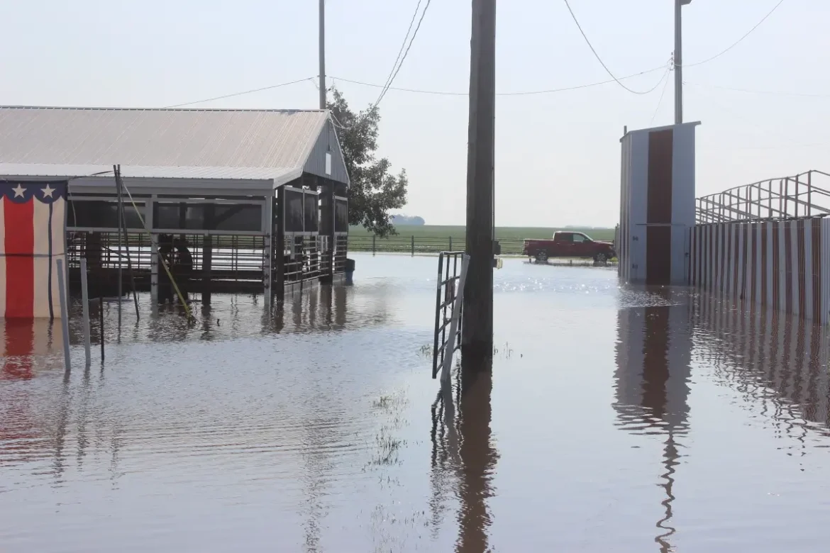 Wright County Fair Rises Above Floodwaters for Second Year in a Row