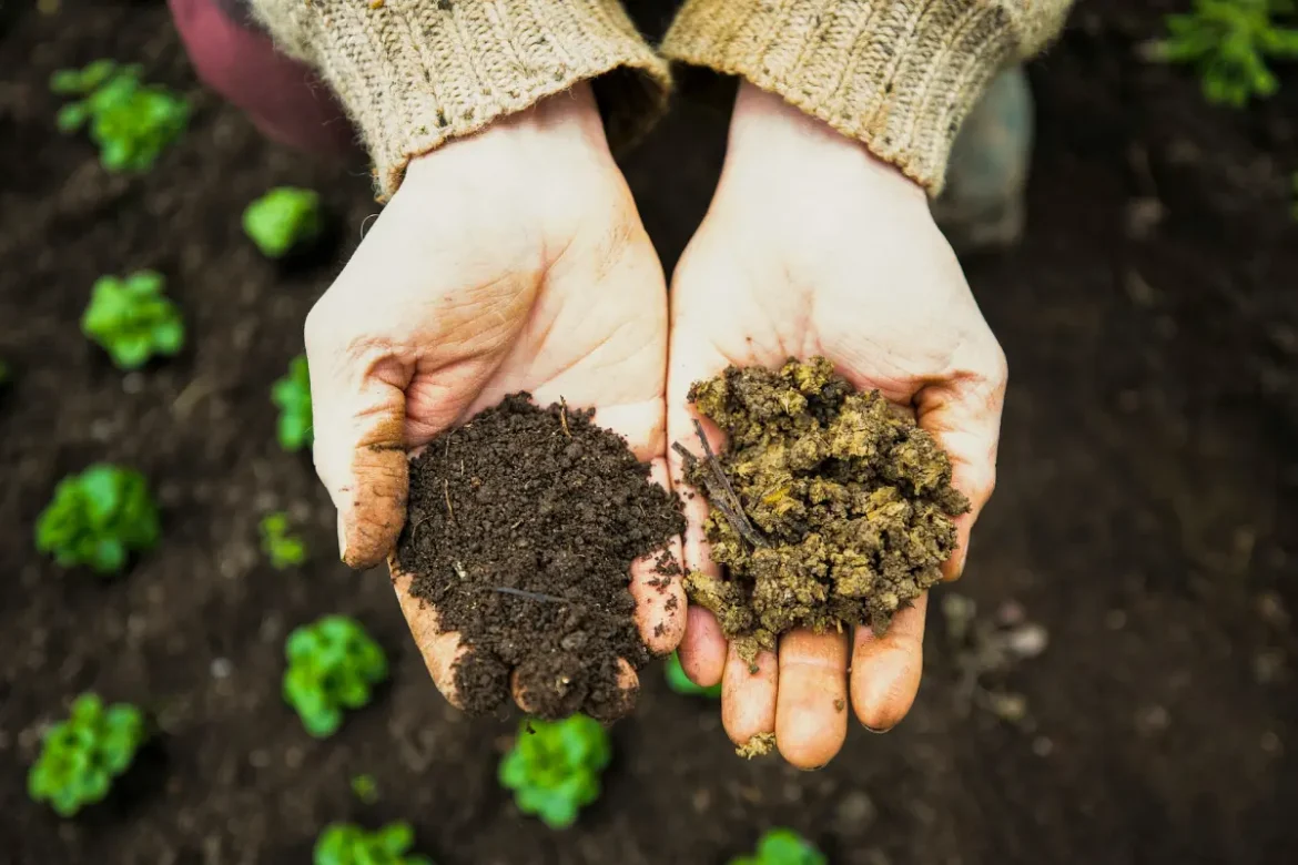 Seeds, Soil Health, and Why 2026 Is the Year to Start Growing Your Own Food