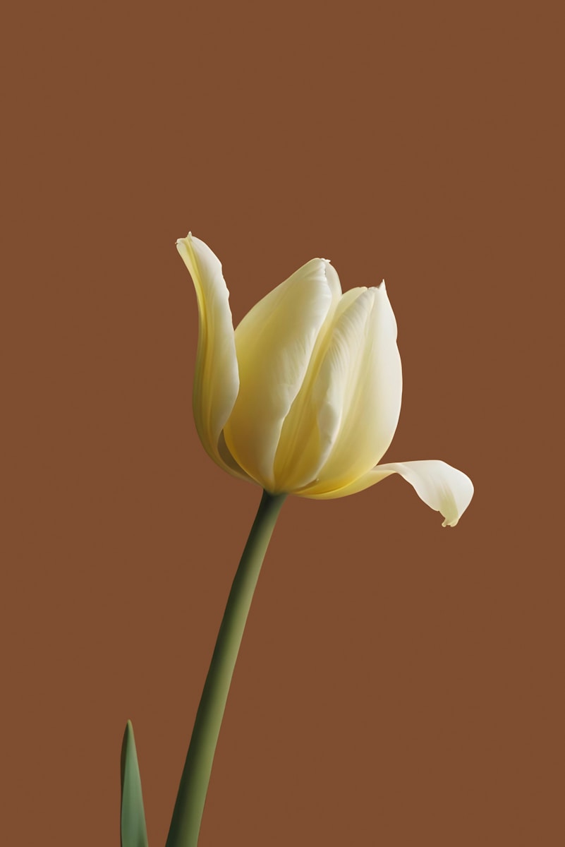 Carroll D. Krier, 92