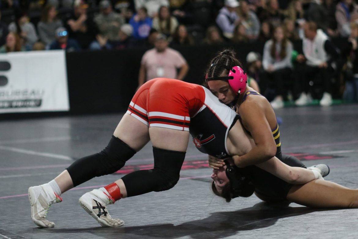 Area wrestlers met with strong competition at State wrestling meet