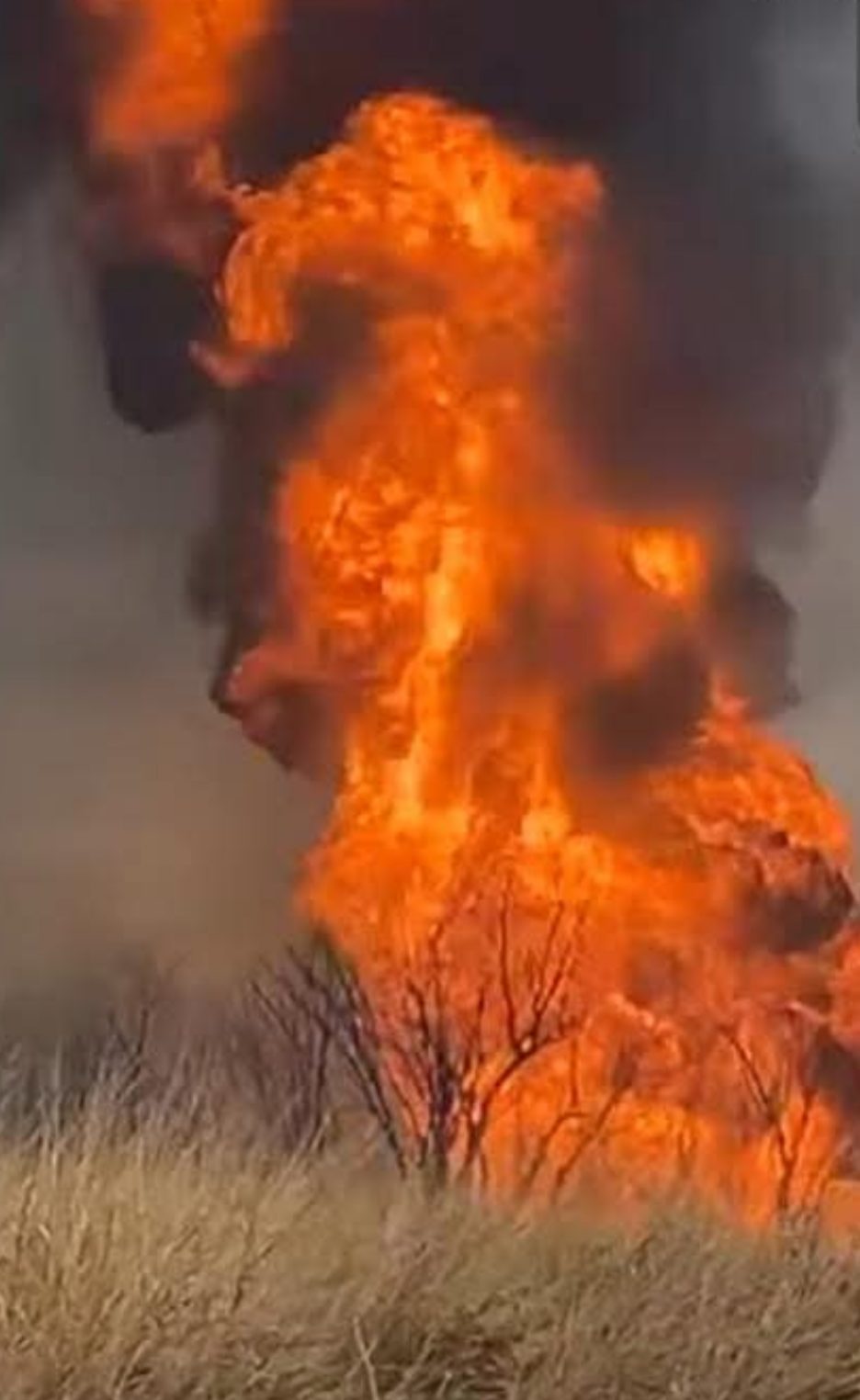 Pipeline Explosion Near Brighton Draws Multi-Agency Response; Follow-Up Reports Detail Damage