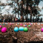 assorted-color faberge egg on brown grass