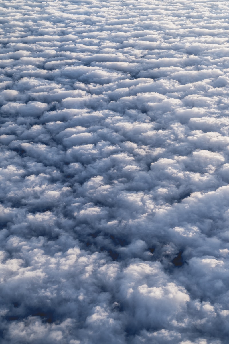 House passes dingbills to ban cloud see and to enhance animal torture penalties