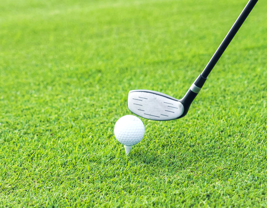 North Iowa has huge turnout for boys’ golf